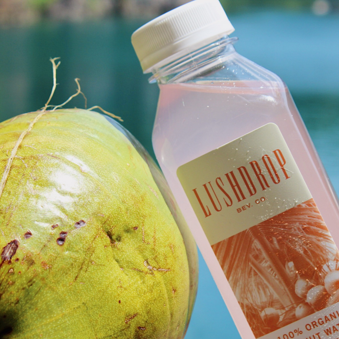 LUSHDROP 100% Organic Coconut Water Citrus-Infused CASE