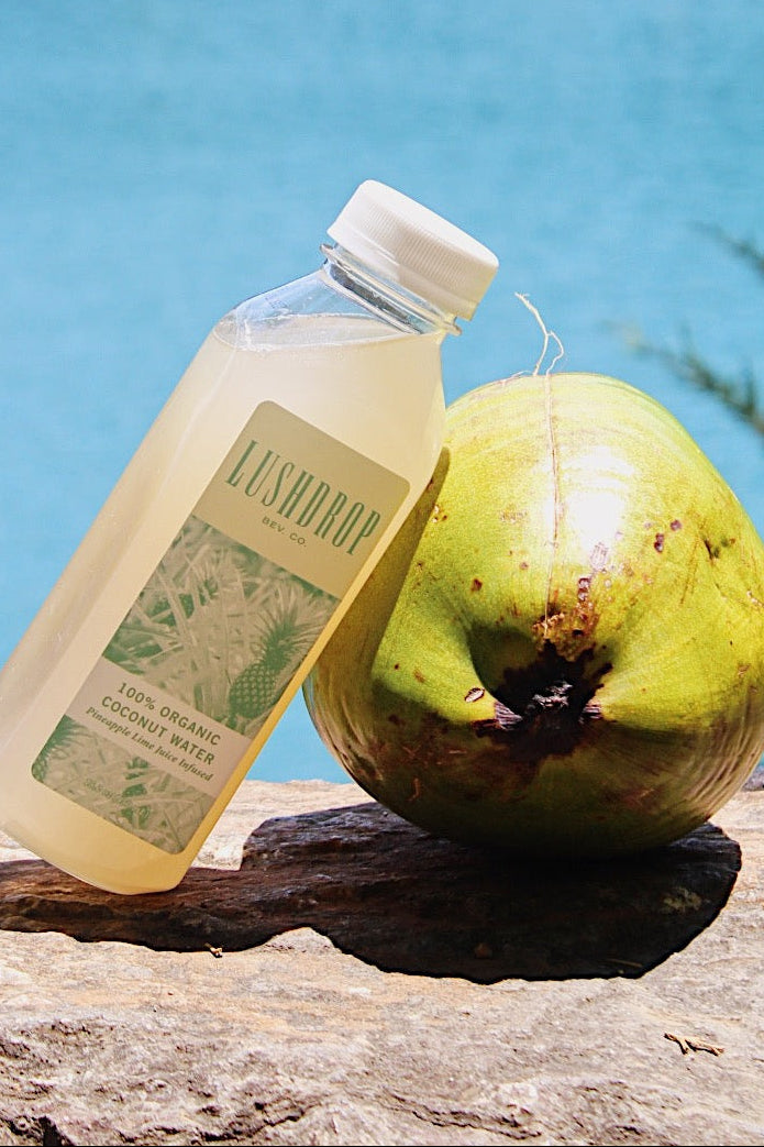 LUSHDROP 100% Organic Coconut Water - Pineapple-Lime Infused CASE